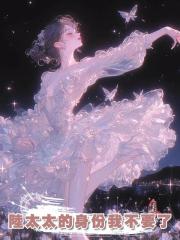 陸太太的身份我不要了